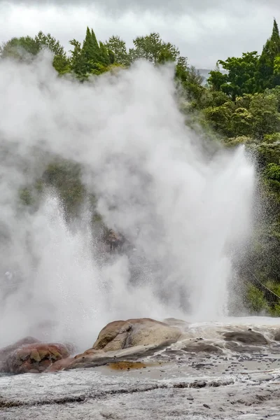 Scenery Geothermal Valley Puia New Zealand — Φωτογραφία Αρχείου