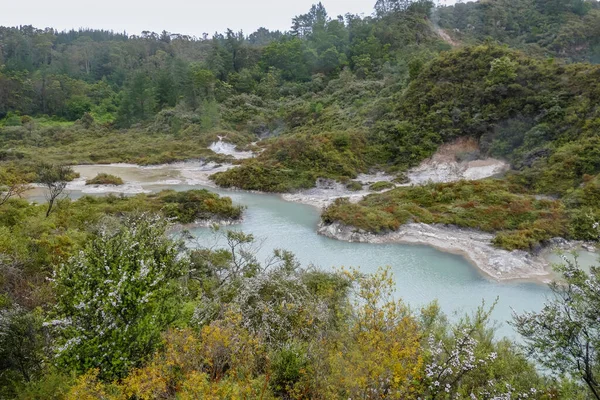 Scenery Geothermal Valley Puia New Zealand — Stockfoto