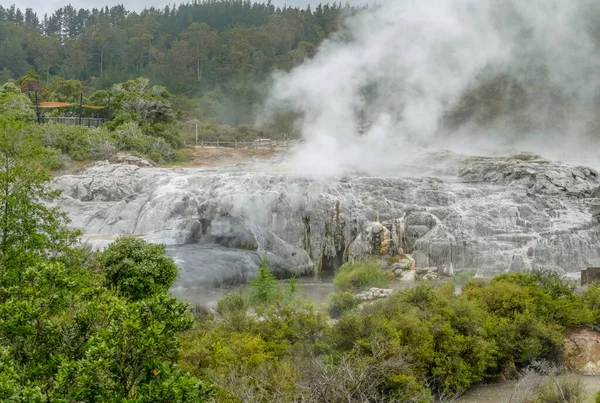 Scenery Geothermal Valley Puia New Zealand — Stockfoto