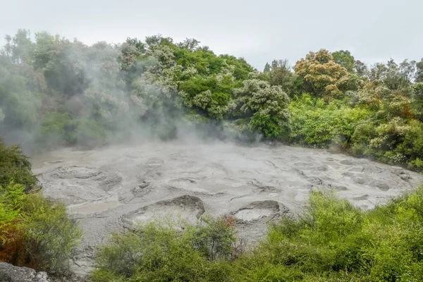 Scenery Geothermal Valley Puia New Zealand — Φωτογραφία Αρχείου