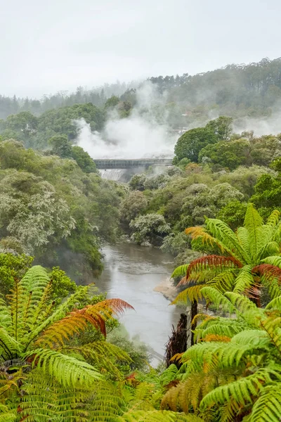 Paisajes Alrededor Del Valle Geotermal Puia Nueva Zelanda —  Fotos de Stock