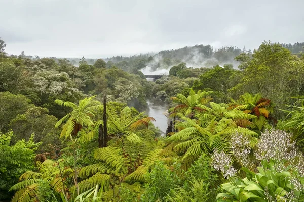 Paisajes Alrededor Del Valle Geotermal Puia Nueva Zelanda —  Fotos de Stock