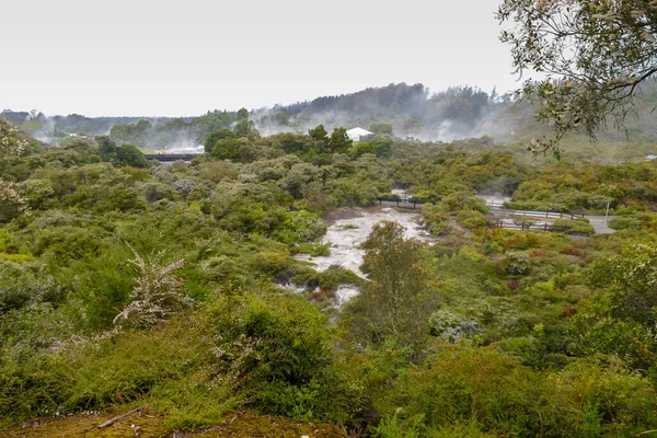 Yeni Zelanda Jeotermal Vadi Puia Manzarası — Stok fotoğraf