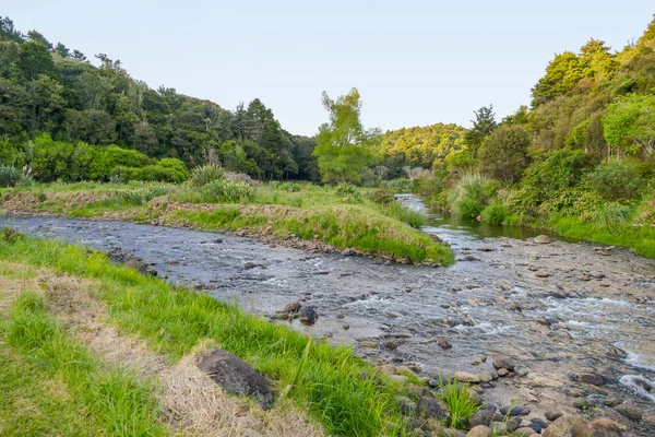 Idyllische Natuurlijke Waterkant Landschap Aan Een Rivier Auckland Regio Het — Stockfoto