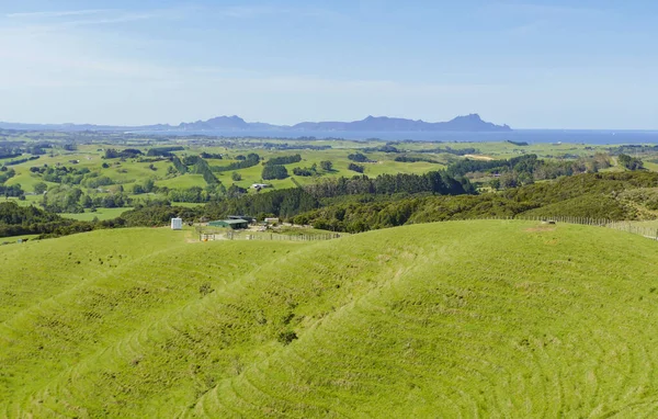 Idyllische Landelijke Landschap Rond Auckland Regio Het Noordereiland Van Nieuw — Stockfoto