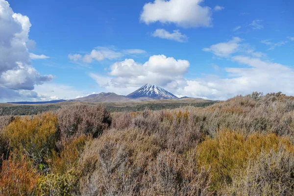 Scenery Mount Tongariro North Island New Zealand — Stock Photo, Image