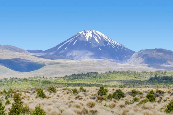 Paisaje Alrededor Del Monte Tongariro Isla Norte Nueva Zelanda — Foto de Stock