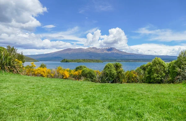 Landschap Rond Mount Tongariro Het Noordereiland Van Nieuw Zeeland — Stockfoto