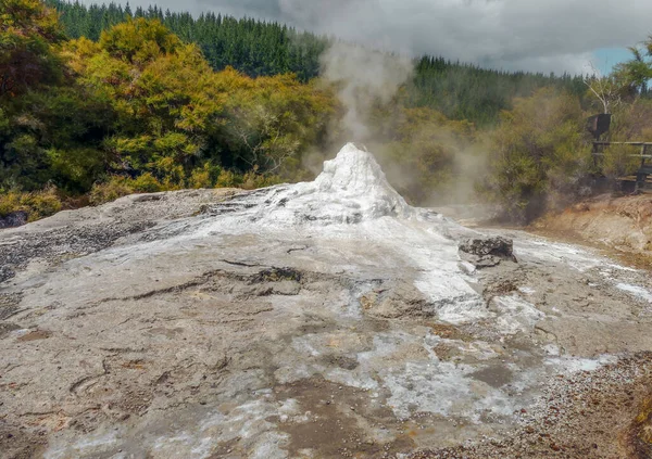 Lady Knox Geyser Geothermal Area Named Waiotapu New Zealand — Fotografia de Stock