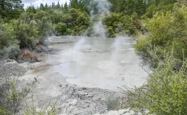 Geothermal Area Named Waiotapu New Zealand — 스톡 사진