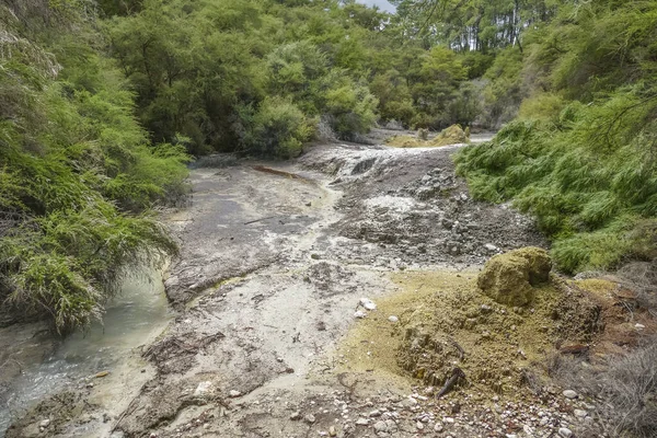 Geothermal Area Named Waiotapu New Zealand —  Fotos de Stock
