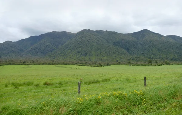 Landscape Whataroa South Island New Zealand — Fotografia de Stock