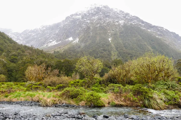 Dünenlandschaft Auf Der Südinsel Neuseelands — Stockfoto