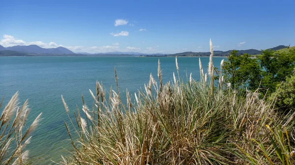 Coastal Scenery Opononi New Zealand — Stock Photo, Image