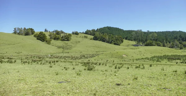 Landscape Wairere New Zealand — Stock Photo, Image