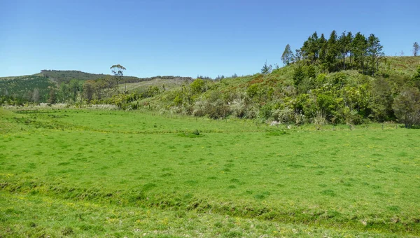 Landschap Rond Wairere Nieuw Zeeland — Stockfoto