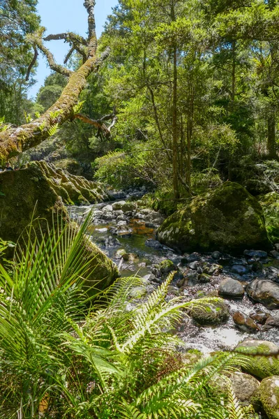 Naturalne Krajobrazy Wokół Wairere Boulders Nowej Zelandii — Zdjęcie stockowe