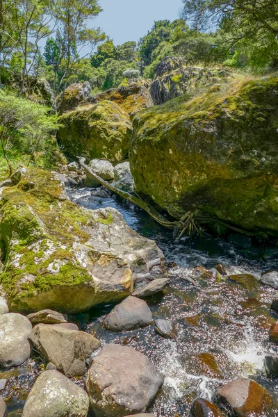 Paisajes Naturales Alrededor Wairere Boulders Nueva Zelanda —  Fotos de Stock