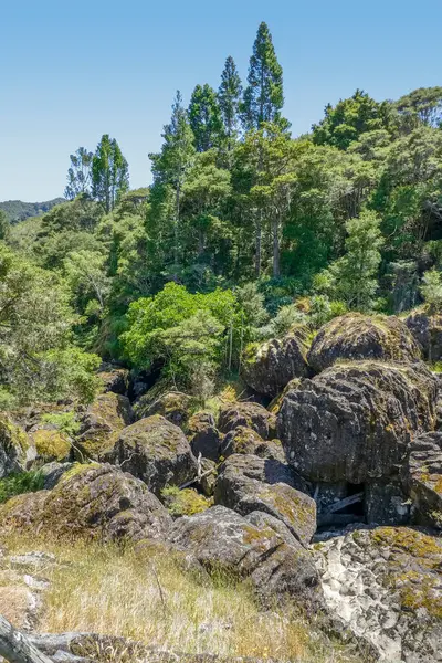 Natuurlijke Omgeving Rond Wairere Boulders Nieuw Zeeland — Stockfoto