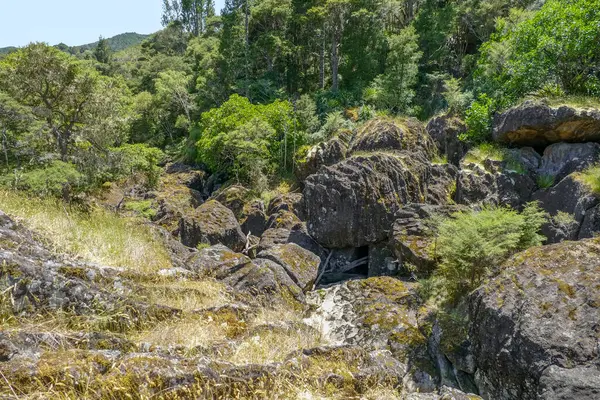 Paysages Naturels Autour Wairere Boulders Nouvelle Zélande — Photo