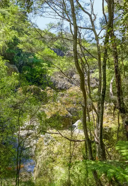 Natural Scenery Wairere Boulders New Zealand — Stock Photo, Image