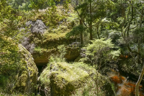 Přírodní Scenérie Kolem Wairere Boulders Novém Zélandu — Stock fotografie