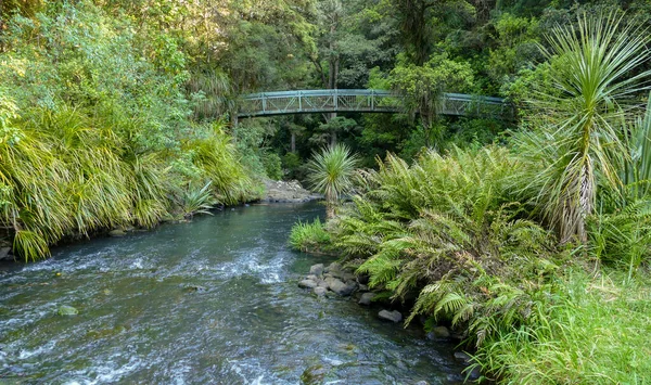 Природные Пейзажи Вокруг Водопада Вангарей Новой Зеландии — стоковое фото