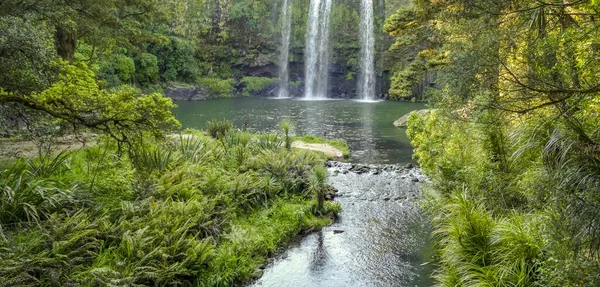 Paesaggio Naturale Intorno Whangarei Falls Nuova Zelanda — Foto Stock