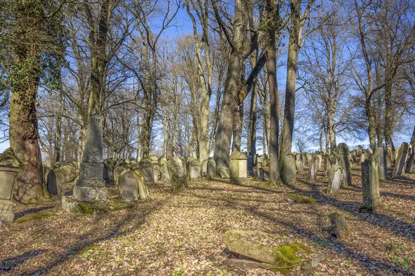 Cemitério Judaico Histórico Início Primavera Perto Berlichingen Hohenlohe Uma Área — Fotografia de Stock