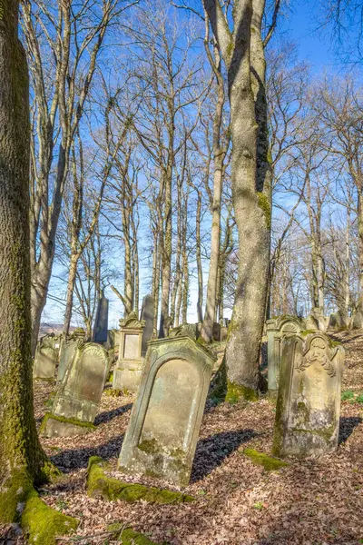 Cemitério Judaico Histórico Início Primavera Perto Berlichingen Hohenlohe Uma Área — Fotografia de Stock