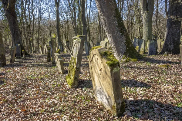 Historischer Jüdischer Friedhof Der Nähe Von Berlichingen Hohenlohekreis — Stockfoto