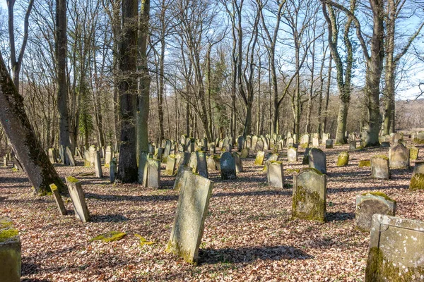 Historický Židovský Hřbitov Počátku Jara Poblíž Berlichingenu Hohenlohe Oblasti Jižním — Stock fotografie