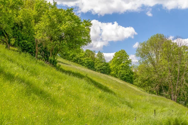 Sunny Idyllic Spring Time Scenery Jagst Valley Hohenlohe District Southern — Stock Photo, Image