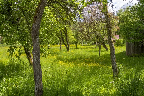 Sunny Idyllic Spring Time Scenery Jagst Valley Hohenlohe District Southern — Stock Photo, Image