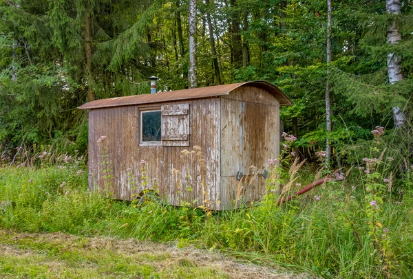 Starý Dřevěný Stavební Přívěs Okraji Lesa — Stock fotografie