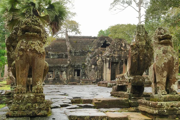 Preah Khan — Stockfoto