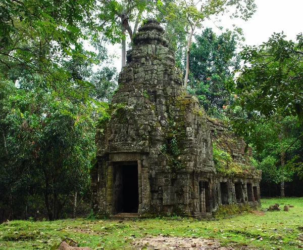 Ta Prohm — Photo