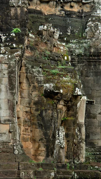 Ta Prohm — Stockfoto