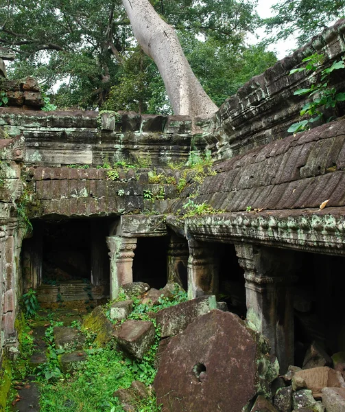 Ta Prohm — Stockfoto