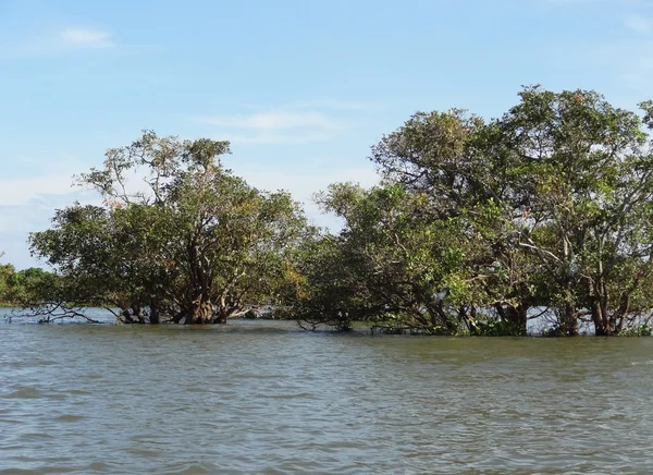 Em torno de Tonle Sap — Fotografia de Stock