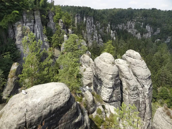 Sachsiska Schweiz — Stockfoto