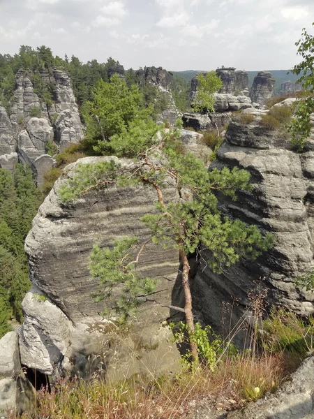 Sächsische Schweiz — Stockfoto