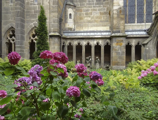 Klooster tuin — Stockfoto