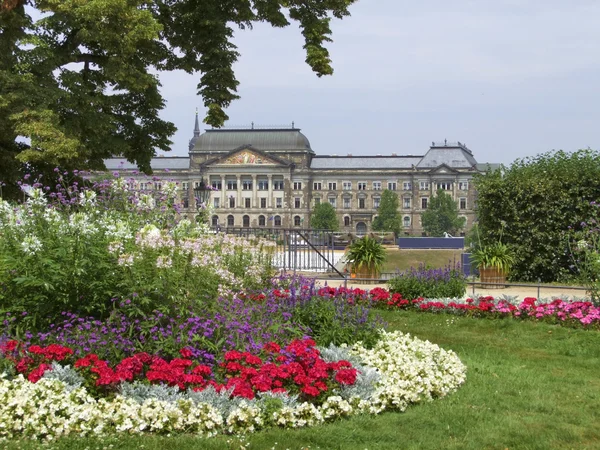 Park i dresdenドレスデンの公園 — Stockfoto