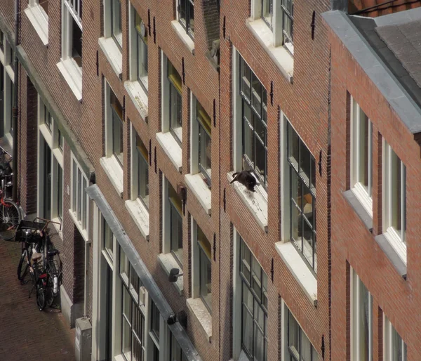 Façades de maison à Amsterdam — Photo