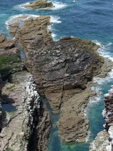 Detalhe da costa rochosa — Fotografia de Stock