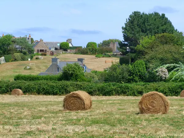 Ile de Bréhat — Foto Stock