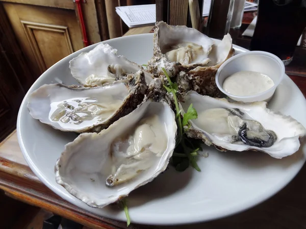 Oysters on plate — Stock Photo, Image