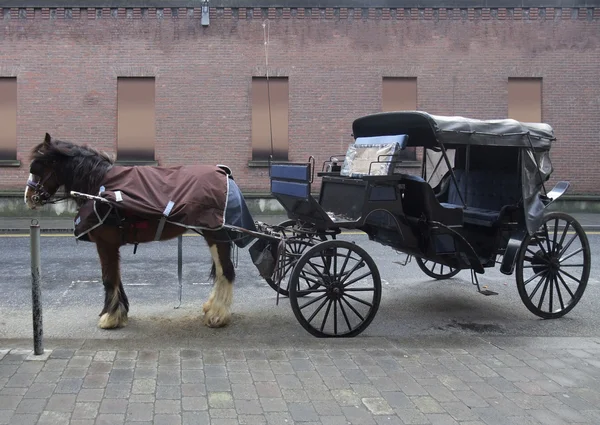 Häst och vagn i dublin — Stockfoto