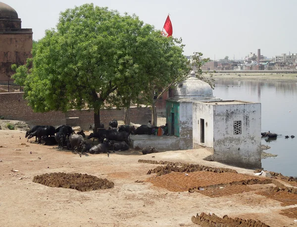 Agra in India — Stock Photo, Image